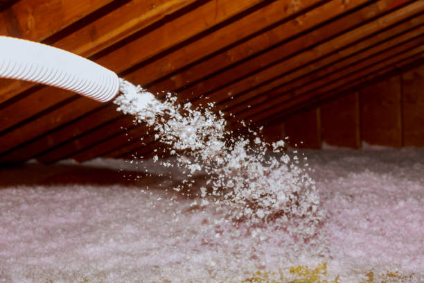Types of Insulation We Offer in Lake California, CA