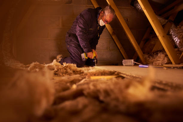 Best Cellulose Insulation in Lake Lifornia, CA